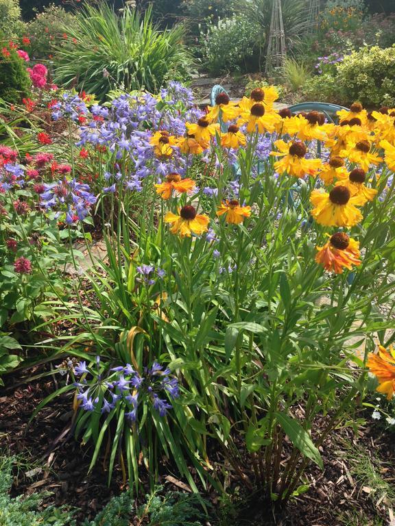 Apartments At Ballinsheen House & Gardens Lisdoonvarna Bagian luar foto